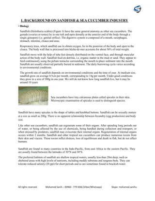All rights reserved. Mohamed Sanih – 00960 - 779 4366 (Viber/Whatsapp) Skype: mohamed.sanihu
1. BACKGROUND ON SANDFISH & SEA CUCUMBER INDUSTRY
• Biology
Sandfish (Holothuria scabra) (Figure 1) have the same general anatomy as other sea cucumbers. The
gonads (ovaries or testes) lie in one tuft and open dorsally at the anterior end of the body through a
single gonopore (i.e. genital orifice). The digestive system is composed of a mouth, oesophagus,
stomach, intestine, cloaca and anus.
Respiratory trees, which sandfish use to obtain oxygen, lie in the posterior of the body and open to the
cloaca. The body wall that is processed into bêche-de-mer accounts for about 56% of total weight.
Sandfish move with the help of tube feet densely distributed on the ventral face, and through muscular
action of the body wall. Sandfish feed on detritus, i.e. organic matter in the mud or sand. They appear to
feed continuously using the peltate tentacles surrounding the mouth to place sediment into the mouth.
Sandfish are usually observed partially buried in sediment. The daily burrowing cycle varies according
to environmental conditions.
The growth rate of sandfish depends on environmental conditions and the time of year. At medium size,
sandfish grow on average 0.5cm per month, corresponding to 14g per month. Under good conditions
they grow to a size of 300g in one year. We still do not know how long sandfish live, but it may be
around 10 years
.
Sea cucumbers have tiny calcareous plates called spicules in their skin.
Microscopic examination of spicules is used to distinguish species.
Sandfish have many spicules in the shape of tables and knobbed buttons. Sandfish can be sexually mature
at a size as small as 200g. There is no apparent relationship between fecundity (egg production) and body
size.
Like other sea cucumbers, sandfish can regenerate some of their organs. After spending long periods out
of water, or being affected by the use of chemicals, being handled during collection and transport, or
when stressed by predators, sandfish may eviscerate their internal organs. Regeneration of internal organs
occurs within 2 months. Sandfish and other tropical sea cucumbers can produce numerous toxins from
their skin and viscera. These toxins inflict distress, loss of equilibrium and death in fish, but do not affect
humans.
Sandfish are found in many countries in the Indo-Pacific, from east Africa to the eastern Pacific. They
are usually found between the latitudes of 30°N and 30°S.
The preferred habitats of sandfish are shallow tropical waters, usually less than 20m deep, such as
sheltered areas with high levels of nutrients, including muddy substrata and seagrass beds. They can
tolerate reduced salinity (20 ppt) for short periods and so are sometimes found in brackish water.
 