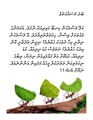 Maldivian Divehi Motivational Diligence Tract.pdf