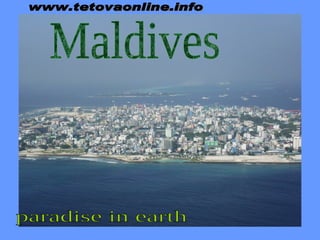 Maldives www.tetovaonline.info paradise in earth 