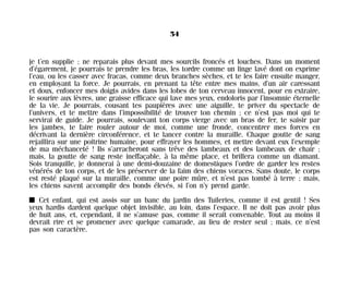 je t’en supplie ; ne reparais plus devant mes sourcils froncés et louches. Dans un moment
d’égarement, je pourrais te prendre les bras, les tordre comme un linge lavé dont on exprime
l’eau, ou les casser avec fracas, comme deux branches sèches, et te les faire ensuite manger,
en employant la force. Je pourrais, en prenant ta tête entre mes mains, d’un air caressant
et doux, enfoncer mes doigts avides dans les lobes de ton cerveau innocent, pour en extraire,
le sourire aux lèvres, une graisse efficace qui lave mes yeux, endoloris par l’insomnie éternelle
de la vie. Je pourrais, cousant tes paupières avec une aiguille, te priver du spectacle de
l’univers, et te mettre dans l’impossibilité de trouver ton chemin ; ce n’est pas moi qui te
servirai de guide. Je pourrais, soulevant ton corps vierge avec un bras de fer, te saisir par
les jambes, te faire rouler autour de moi, comme une fronde, concentrer mes forces en
décrivant la dernière circonférence, et te lancer contre la muraille. Chaque goutte de sang
rejaillira sur une poitrine humaine, pour effrayer les hommes, et mettre devant eux l’exemple
de ma méchanceté ! Ils s’arracheront sans trêve des lambeaux et des lambeaux de chair ;
mais, la goutte de sang reste ineffaçable, à la même place, et brillera comme un diamant.
Sois tranquille, je donnerai à une demi-douzaine de domestiques l’ordre de garder les restes
vénérés de ton corps, et de les préserver de la faim des chiens voraces. Sans doute, le corps
est resté plaqué sur la muraille, comme une poire mûre, et n’est pas tombé à terre ; mais,
les chiens savent accomplir des bonds élevés, si l’on n’y prend garde.
I Cet enfant, qui est assis sur un banc du jardin des Tuileries, comme il est gentil ! Ses
yeux hardis dardent quelque objet invisible, au loin, dans l’espace. Il ne doit pas avoir plus
de huit ans, et, cependant, il ne s’amuse pas, comme il serait convenable. Tout au moins il
devrait rire et se promener avec quelque camarade, au lieu de rester seul ; mais, ce n’est
pas son caractère.
54
Maldoror 27/01/01 18:04 Page 54
 