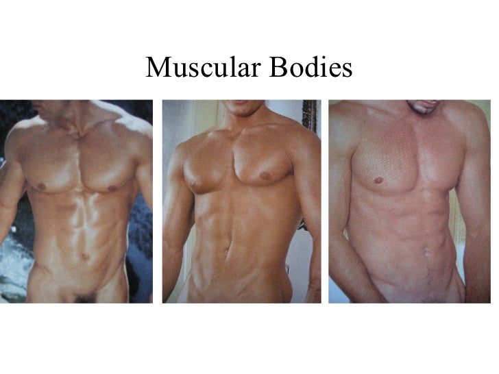 body types men