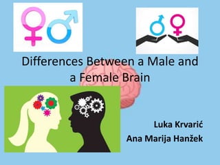 Differences Between a Male and
a Female Brain
Luka Krvarić
Ana Marija Hanžek
 