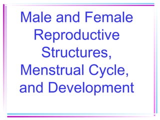 Male and Female
Reproductive
Structures,
Menstrual Cycle,
and Development

 