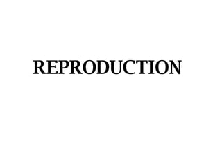 REPRODUCTION 