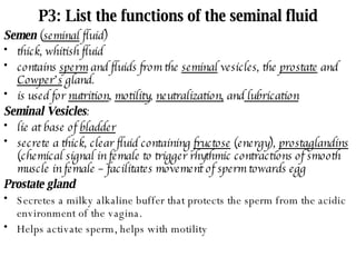P3: List the functions of the seminal fluid Semen  ( seminal  fluid) thick, whitish fluid contains  sperm  and fluids from the  seminal  vesicles, the  prostate  and  Cowper’s  gland. is used for  nutrition ,  motility ,  neutralization,  and  lubrication Seminal Vesicles : lie at base of  bladder secrete a thick, clear fluid containing  fructose  (energy),  prostaglandins  (chemical signal in female to trigger rhythmic contractions of smooth muscle in female – facilitates movement of sperm towards egg Prostate gland Secretes a milky alkaline buffer that protects the sperm from the acidic environment of the vagina. Helps activate sperm, helps with motility 