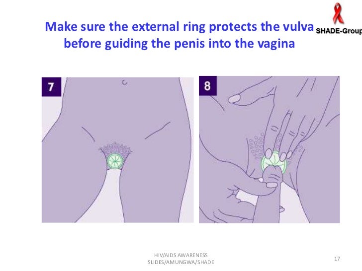 How To Put The Penis In The Vagina 6