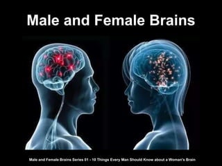 Male and Female Brains
Male and Female Brains Series 01 - 10 Things Every Man Should Know about a Woman's Brain
 