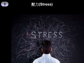 壓力(Stress)
5
 