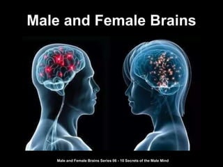 Male and Female Brains
Male and Female Brains Series 06 - 10 Secrets of the Male Mind
 