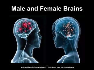 Male and Female Brains
Male and Female Brains Series 07 - Truth about male and female brains
 