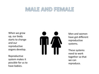 When we grow
up, our body
starts to change
and our
reproductive
organs develop.
Reproductive
system makes it
possible for us to
have babies.
Men and women
have got different
reproductive
systems.
These systems
need to work
together so that
we can
reproduce.
 