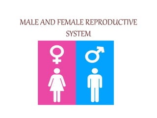 MALE AND FEMALE REPRODUCTIVE
SYSTEM
 