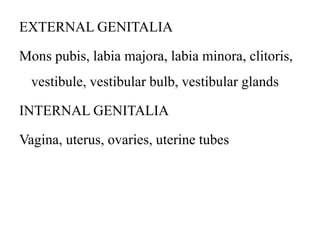 MALE AND FEMALE REPRODUCTIVE SYSTEM pptx male-and-female-reproductive-system-pptx