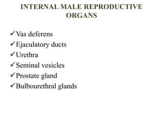 MALE AND FEMALE REPRODUCTIVE SYSTEM.pptx