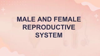 MALE AND FEMALE
REPRODUCTIVE
SYSTEM
 
