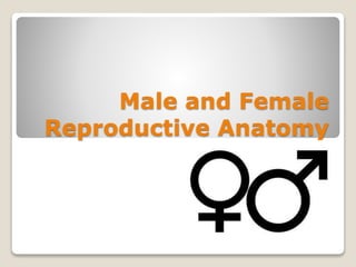 Male and Female
Reproductive Anatomy
 