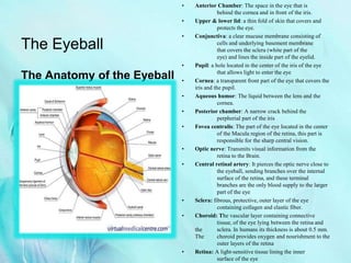 The Eyeball
The Anatomy of the Eyeball
• Anterior Chamber: The space in the eye that is
behind the cornea and in front of the iris.
• Upper & lower lid: a thin fold of skin that covers and
protects the eye.
• Conjunctiva: a clear mucuse membrane consisting of
cells and underlying basement membrane
that covers the sclera (white part of the
eye) and lines the inside part of the eyelid.
• Pupil: a hole located in the center of the iris of the eye
that allows light to enter the eye
• Cornea: a transparent front part of the eye that covers the
iris and the pupil.
• Aqueous humor: The liquid between the lens and the
cornea.
• Posterior chamber: A narrow crack behind the
perpherial part of the iris
• Fovea centralis: The part of the eye located in the center
of the Macula region of the retina, this part is
responsible for the sharp central vision.
• Optic nerve: Transmits visual information from the
retina to the Brain.
• Central retinal artery: It pierces the optic nerve close to
the eyeball, sending branches over the internal
surface of the retina, and these terminal
branches are the only blood supply to the larger
part of the eye
• Sclera: fibrous, protective, outer layer of the eye
containing collagen and elastic fiber.
• Choroid: The vascular layer containing connective
tissue, of the eye lying between the retina and
the sclera. In humans its thickness is about 0.5 mm.
The choroid provides oxygen and nourishment to the
outer layers of the retina
• Retina: A light-sensitive tissue lining the inner
surface of the eye
 
