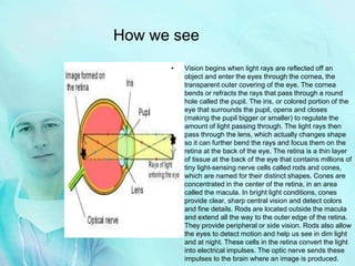 • Vision begins when light rays are reflected off an
object and enter the eyes through the cornea, the
transparent outer covering of the eye. The cornea
bends or refracts the rays that pass through a round
hole called the pupil. The iris, or colored portion of the
eye that surrounds the pupil, opens and closes
(making the pupil bigger or smaller) to regulate the
amount of light passing through. The light rays then
pass through the lens, which actually changes shape
so it can further bend the rays and focus them on the
retina at the back of the eye. The retina is a thin layer
of tissue at the back of the eye that contains millions of
tiny light-sensing nerve cells called rods and cones,
which are named for their distinct shapes. Cones are
concentrated in the center of the retina, in an area
called the macula. In bright light conditions, cones
provide clear, sharp central vision and detect colors
and fine details. Rods are located outside the macula
and extend all the way to the outer edge of the retina.
They provide peripheral or side vision. Rods also allow
the eyes to detect motion and help us see in dim light
and at night. These cells in the retina convert the light
into electrical impulses. The optic nerve sends these
impulses to the brain where an image is produced.
How we see
 
