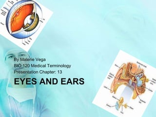 EYES AND EARS
By Malerie Vega
BIO:120 Medical Terminology
Presentation Chapter: 13
 
