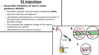 male contraception- powerpoint presentation