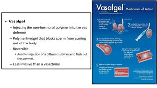 male contraception- powerpoint presentation