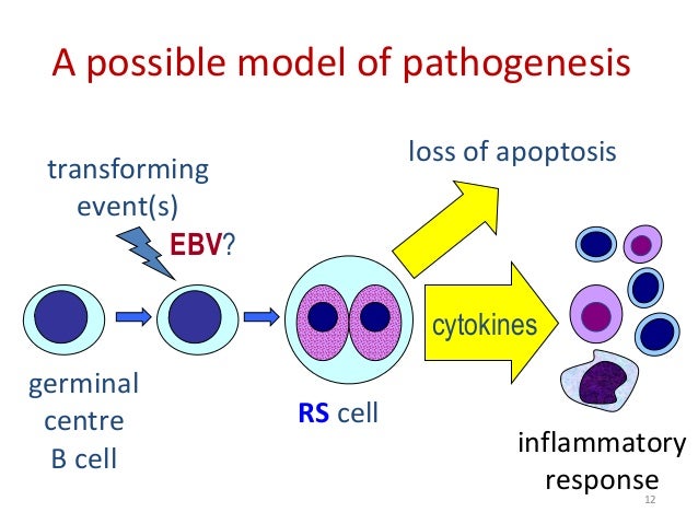 Hodgkin's Lymphoma