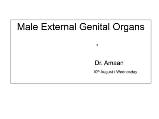 Male External Genital Organs
Dr. Amaan
10th August / Wednesday
.
 