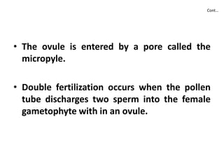 Cont…
• The ovule is entered by a pore called the
micropyle.
• Double fertilization occurs when the pollen• Double fertilization occurs when the pollen
tube discharges two sperm into the female
gametophyte with in an ovule.
 