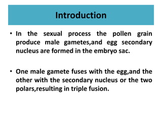 Introduction
• In the sexual process the pollen grain
produce male gametes,and egg secondary
nucleus are formed in the embryo sac.
• One male gamete fuses with the egg,and the
other with the secondary nucleus or the two
polars,resulting in triple fusion.
 