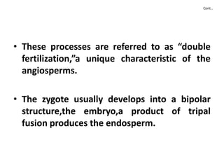 Cont…
• These processes are referred to as “double
fertilization,”a unique characteristic of the
angiosperms.
• The zygote usually develops into a bipolar
structure,the embryo,a product of tripal
fusion produces the endosperm.
 