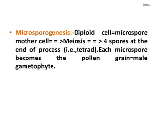 Cont…
• Microsporogenesis:-Diploid cell=microspore
mother cell= = >Meiosis = = > 4 spores at the
end of process (i.e.,tetrad).Each microspore
becomes the pollen grain=malebecomes the pollen grain=male
gametophyte.
 