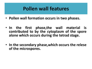 Pollen wall features
• Pollen wall formation occurs in two phases.
• In the first phase,the wall material is
contributed to by the cytoplasm of the spore
alone which occurs during the tetrad stage.alone which occurs during the tetrad stage.
• In the secondary phase,which occurs the relese
of the microspores.
 