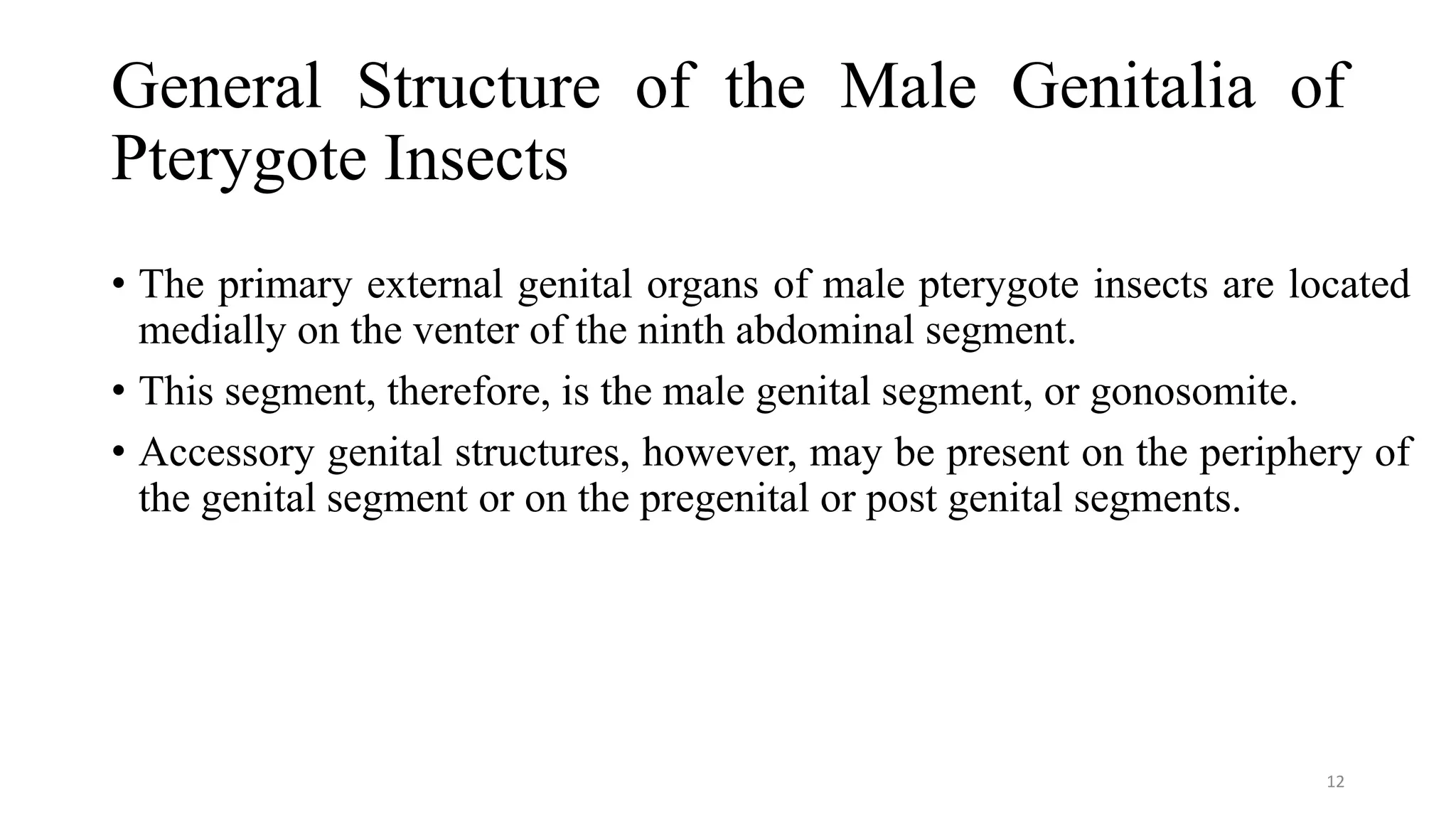 Insect Male Reproduction male genetalia of insect orders | PPT