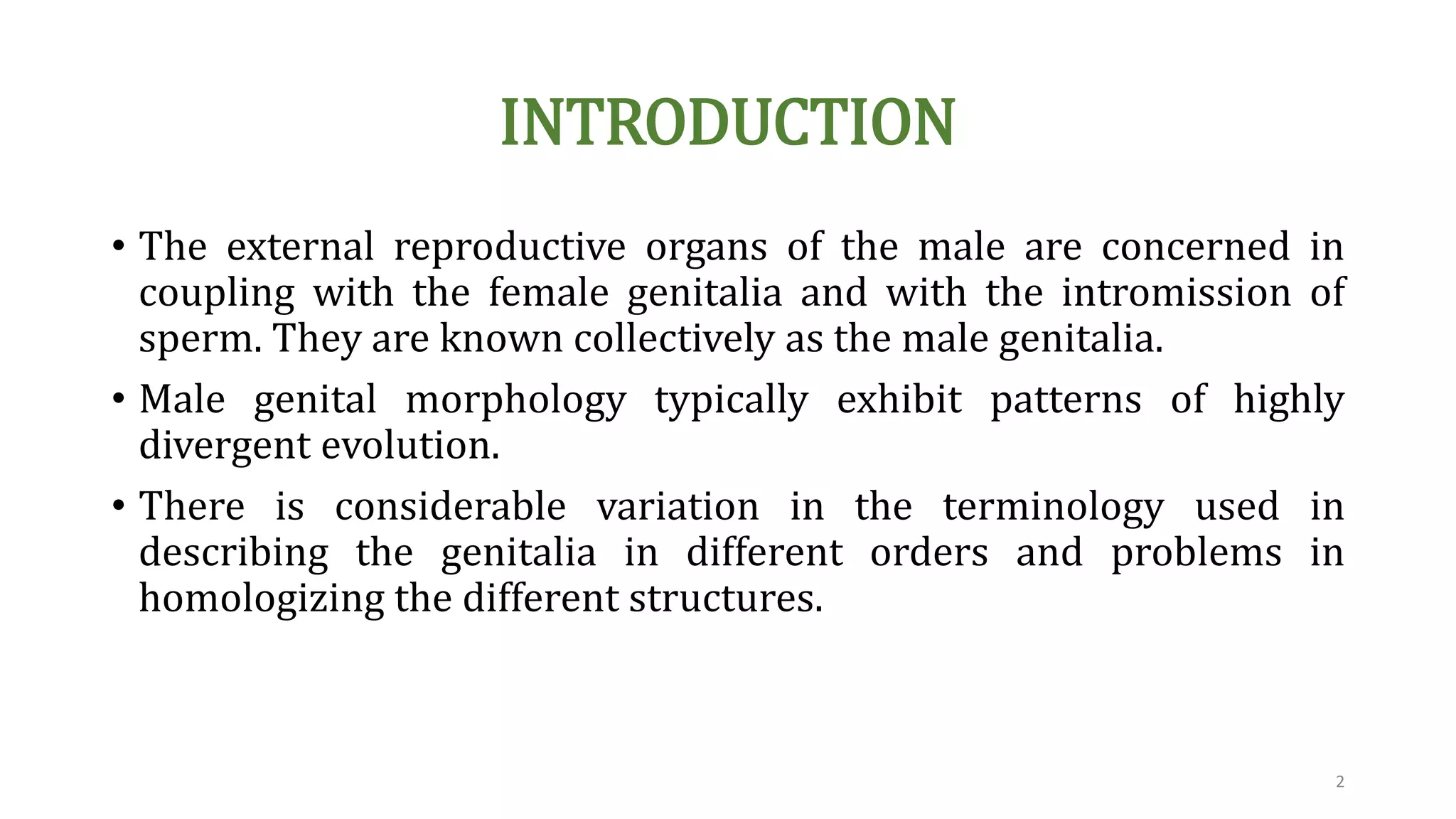 Insect Male Reproduction male genetalia of insect orders | PPT