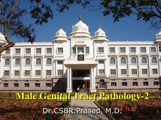 Male Genital Tract Pathology-2
      Dr.CSBR.Prasad, M.D.
 