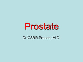 Prostate
Dr.CSBR.Prasad, M.D.
 