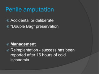 Penile amputation
 Accidental or deliberate
 “Double Bag” preservation
 Management
 Reimplantation - success has been
reported after 16 hours of cold
ischaemia
 