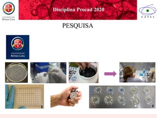 A B
C
D
E F
Disciplina Procad 2020
PESQUISA
 