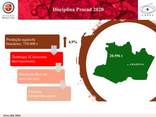 (Peixe BR, 2020)
4,9%
Produção aquícola
brasileira: 758.000 t
Tambaqui (Colossoma
macropomum);
Matrinxã (Brycon
amazonicus);
Pirarucu
(Arapaima gigas).
20.596 t
. AMAZONAS
Disciplina Procad 2020
 
