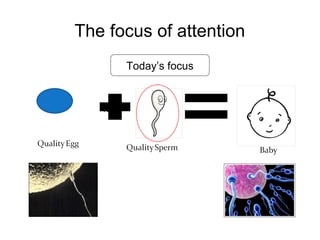 The focus of attention
Today’s focus
 