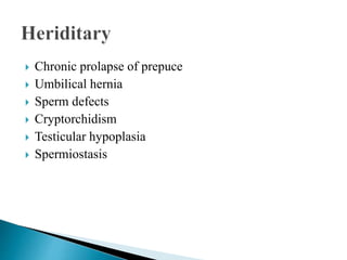  Chronic prolapse of prepuce
 Umbilical hernia
 Sperm defects
 Cryptorchidism
 Testicular hypoplasia
 Spermiostasis
 