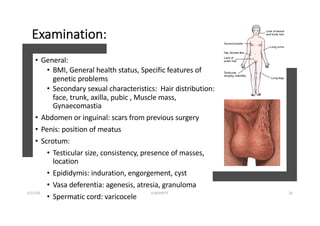 Induration Cyst Male infertility | PDF
