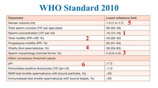 WHO Standard 2010
1
2
3
4
5
6
 