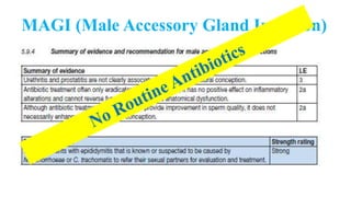 MAGI (Male Accessory Gland Infection)
 
