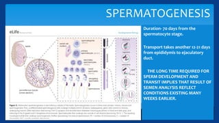 Sperm Condition Male infertility PPT - Dr P Usha Devi dt 04 Mar.ppt