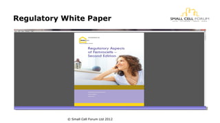 Regulatory White Paper 
© Small Cell Forum Ltd 2012 
 