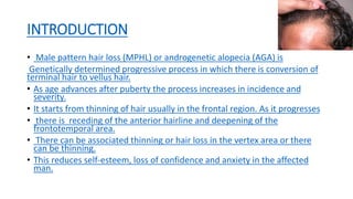 Male pattern hair loss practical guide to hair transplantation chapter ...