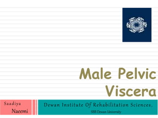 Male Pelvic
Viscera
Saadiya
Naeemi
Dewan Institute Of Rehabilitation Sciences,
SBB Dewan University
 