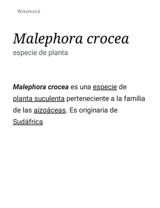 Malephora crocea
especie de planta
Malephora crocea es una especie de
planta suculenta perteneciente a la familia
de las aizoáceas. Es originaria de
Sudáfrica
 