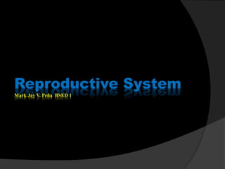 Reproductive System
Mark Jay V. Peña BSED 1
 